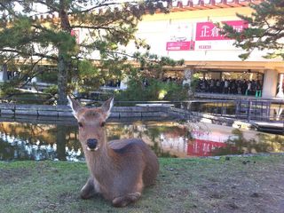 2016110610.jpg