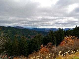 2020111509.jpg